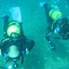 Couple diving cabo palos