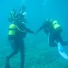 Diving baptism in cabo palos